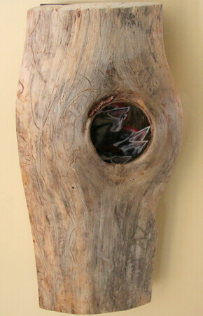 PILEATED WOODPECKERS